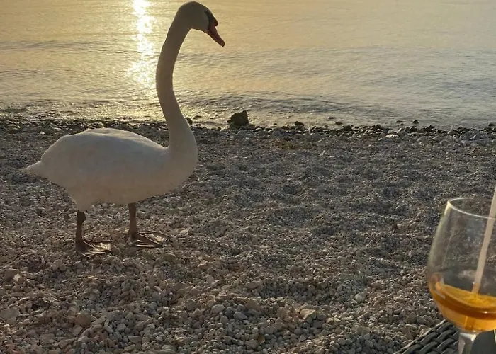 Διαμέρισμα Gardasee Cola-lazise By Interhome Λατζίζε